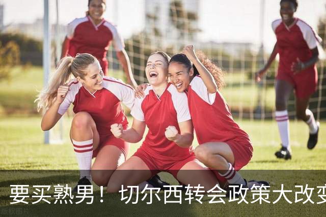 要买熟男！切尔西转会政策大改变 想引进35岁维尔贝克